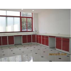 塑料實驗室家具廠家 濱州實驗室家具廠家 周固包裝制品市場