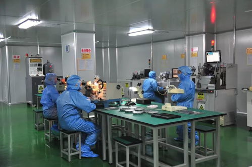 科技賦能，精準服務——延平區(qū)以技術創(chuàng)新驅動企業(yè)高質量發(fā)展